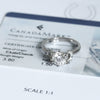 Bespoke Horseshoe Engagement Ring - Canada Mark central diamond, 100% recycled platinum and diamond-set horseshoe shoulders