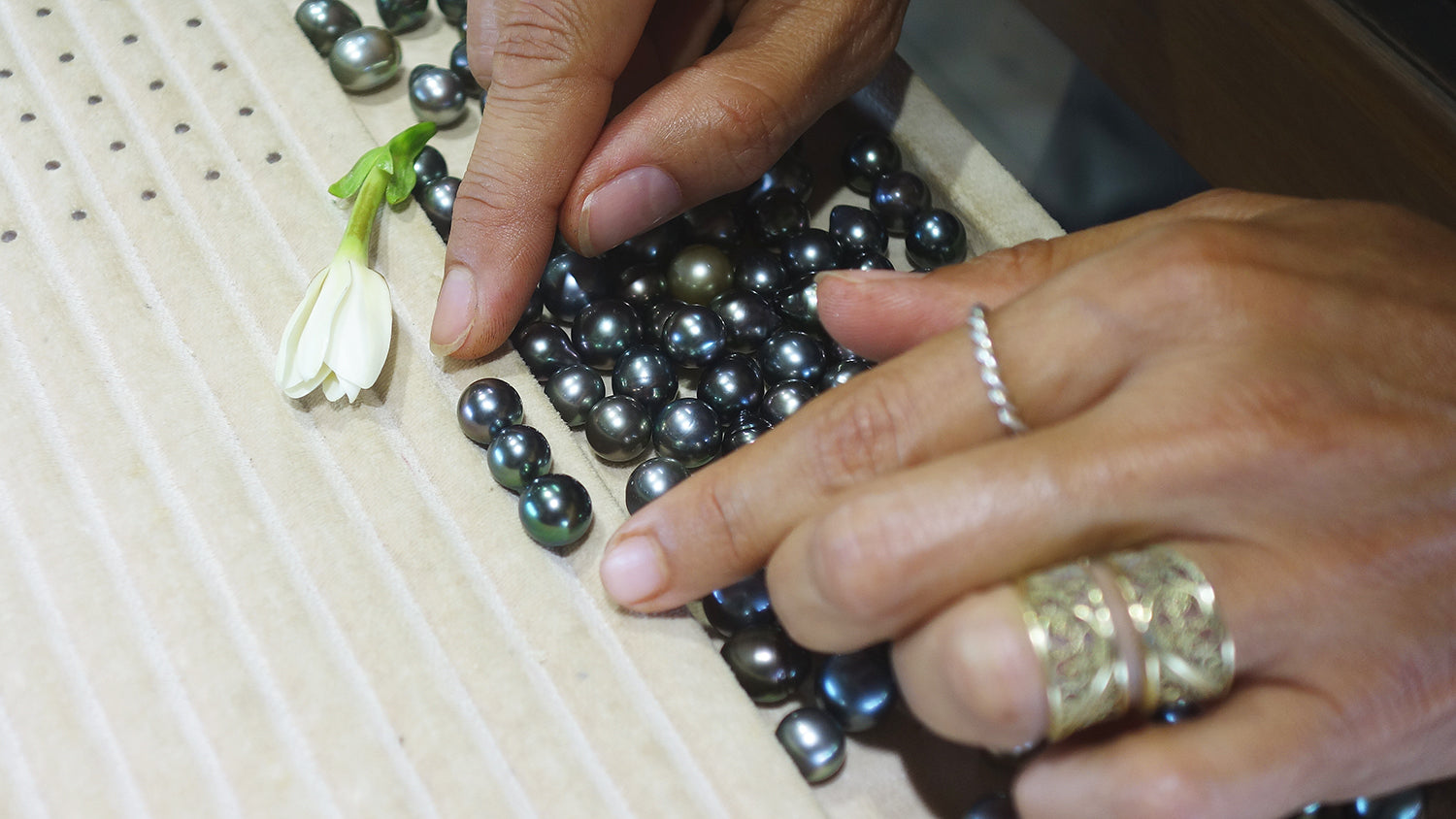 Pearls in Paradise: Arabel's Trip to an Eco-Friendly Polynesian Pearl Farm
