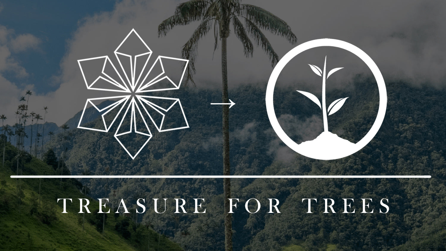 A Valentine’s Day gift to the world: Leading ethical jewellery brand Lebrusan Studio to begin planting trees for every jewel sold