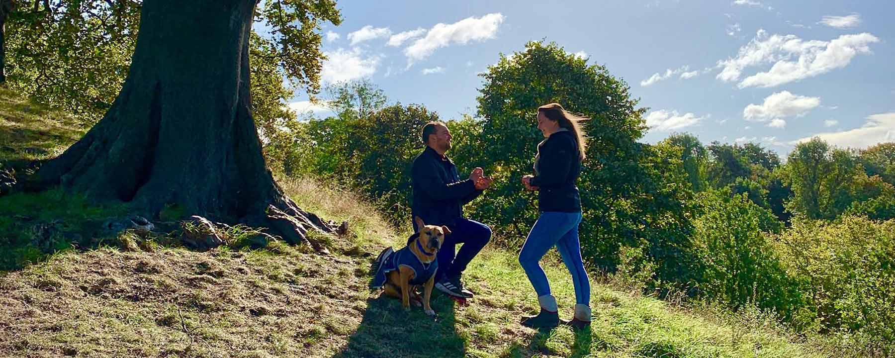 Image showing a man on his knee proposing to a young woman in a woodland setting on a sunny day. There is a dog next to them. Customer reviews for Lebrusan Studio Ethical Jewellery, engagement rings and wedding bands 