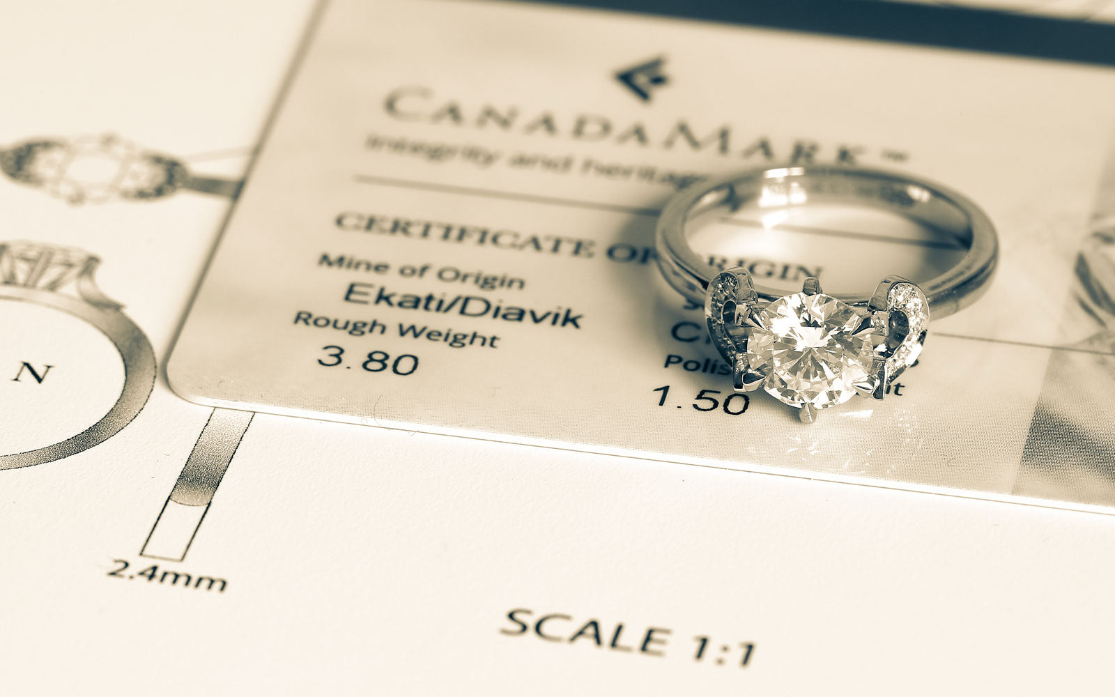 Bespoke diamond engagement ring with horseshoe details and Canadamark central stone