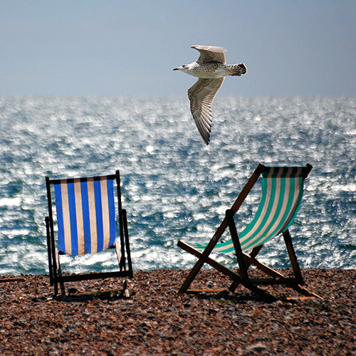 Two deckchairs, one striped in blue and white and the other striped in green and white, sit on Brighton's pebbled beach facing out to sea. A seagull flies directly above the chairs