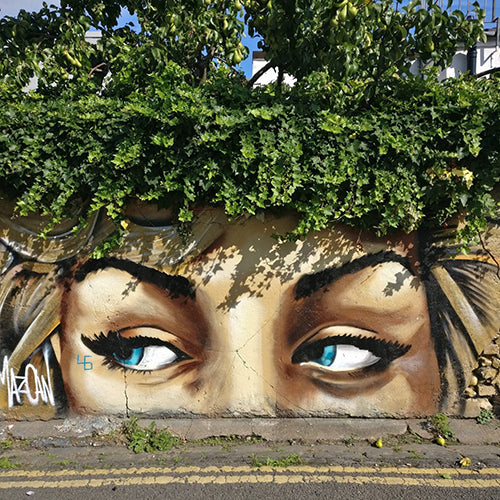 A woman's face is spray-painted onto an urban wall, green shrubs sprouting from behind to resemble hair growing from her head